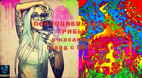 ешки Михайлов