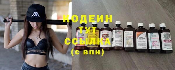 дмт Ессентукская