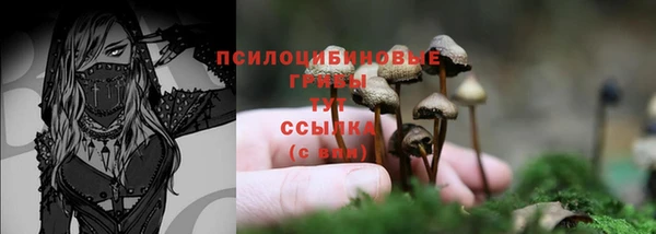 прущий лед Михайловск