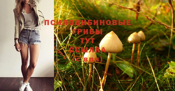 прущий лед Михайловск