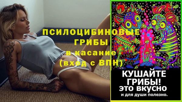 ешки Михайлов