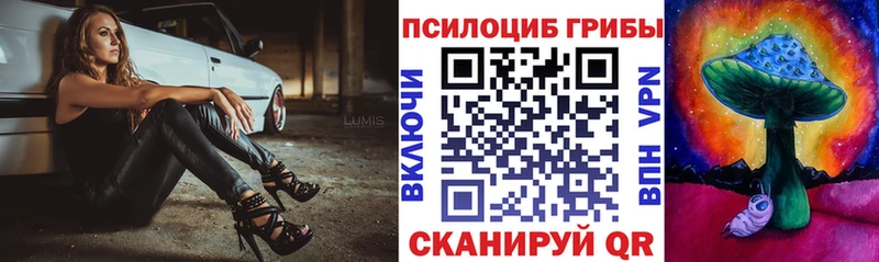 Псилоцибиновые грибы Magic Shrooms  Невьянск 